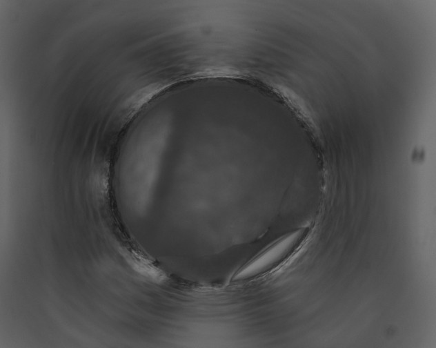 X0000089941161200707131447