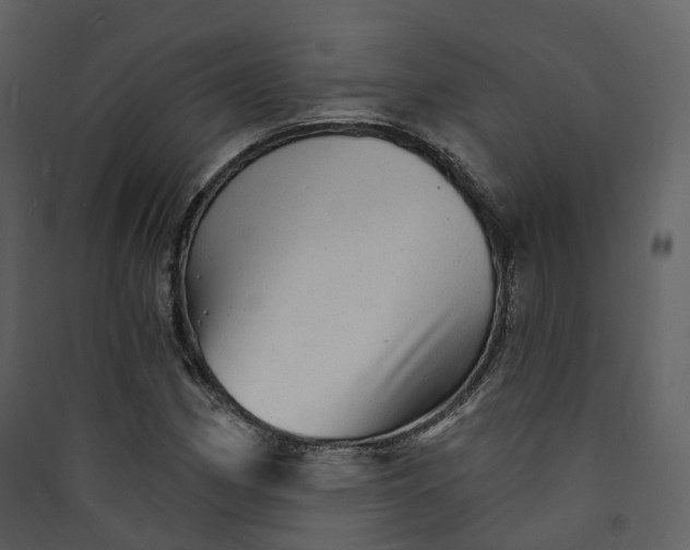 X0000089941162200707131447