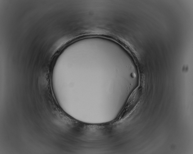 X0000089941163200707131447