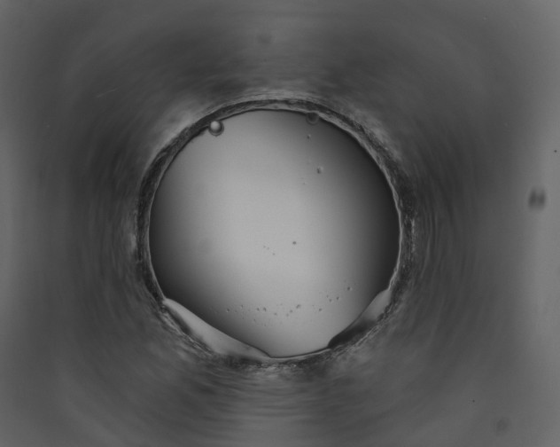 X0000089941165200707131447