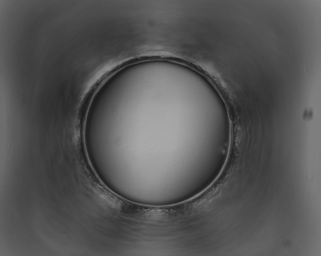 X0000089941167200707131447