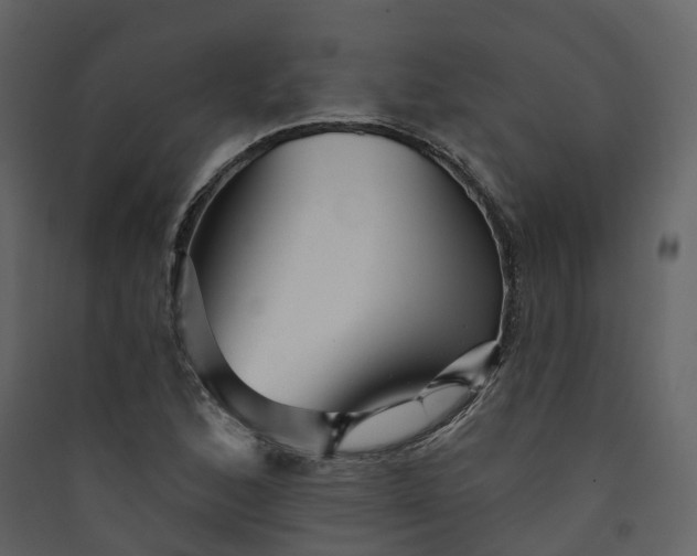 X0000089941168200707131447