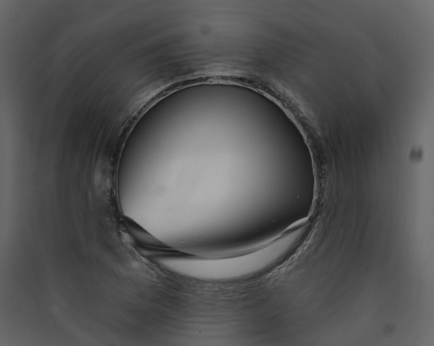 X0000089941169200707131447