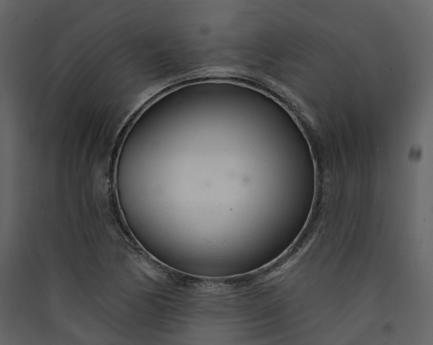 X0000089941170200707131447