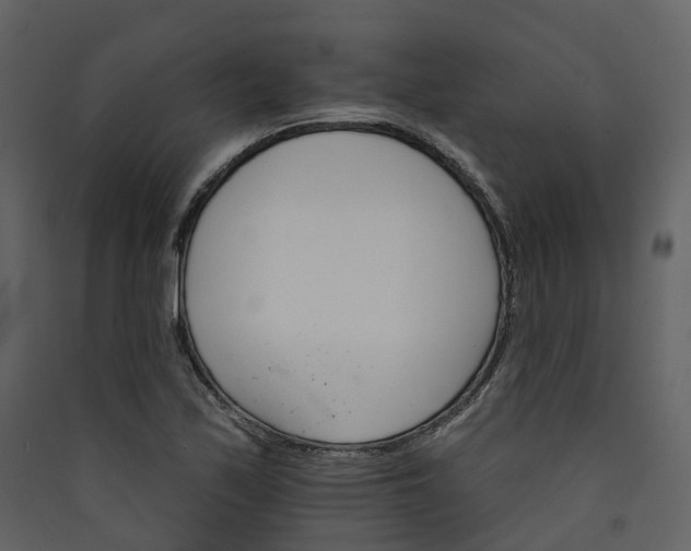 X0000089941171200707131447