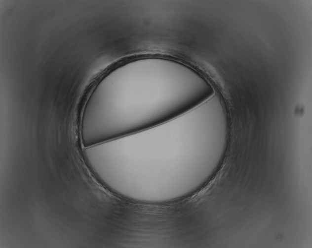 X0000089941172200707131447