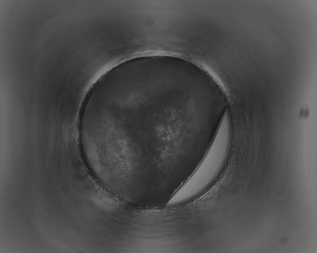 X0000089941173200707131447