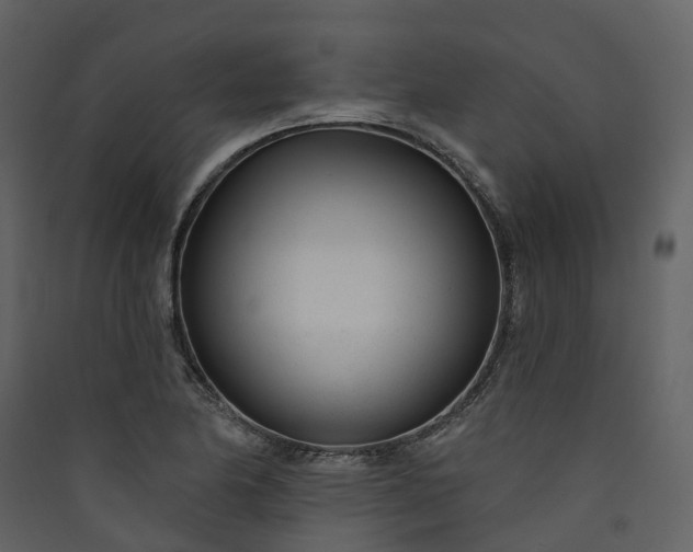 X0000089941174200707131447