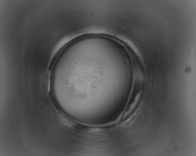 X0000089941175200707131447