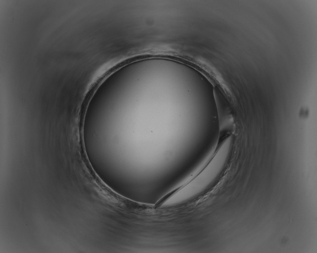 X0000089941176200707131447