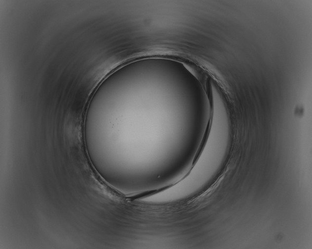 X0000089941177200707131447