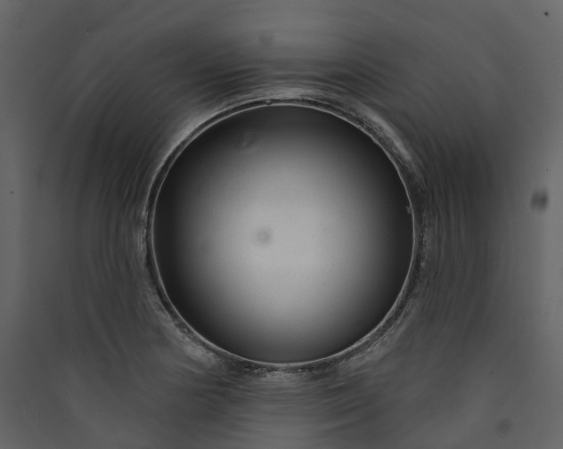 X0000089941178200707131447