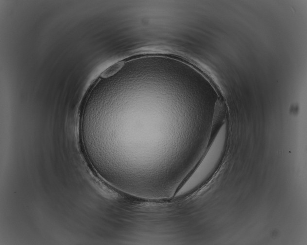 X0000089941179200707131447