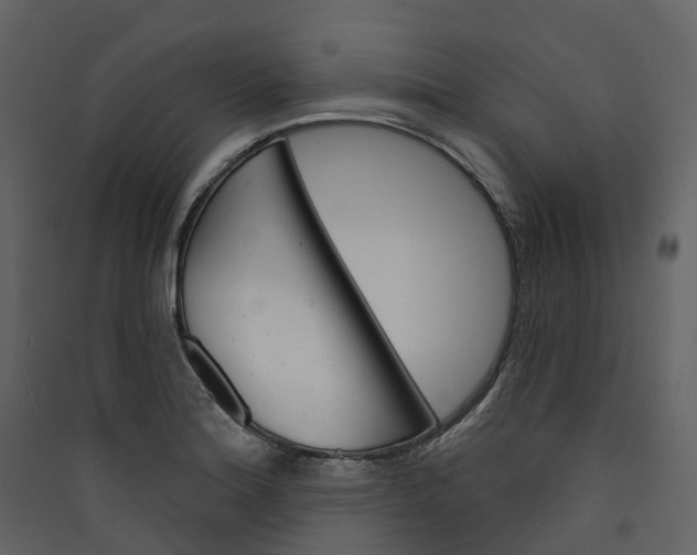 X0000089941180200707131447