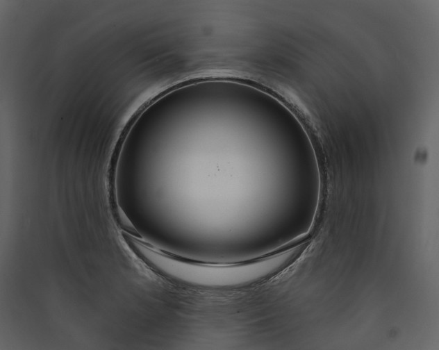 X0000089941181200707131447