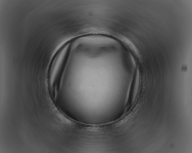 X0000089941182200707131447