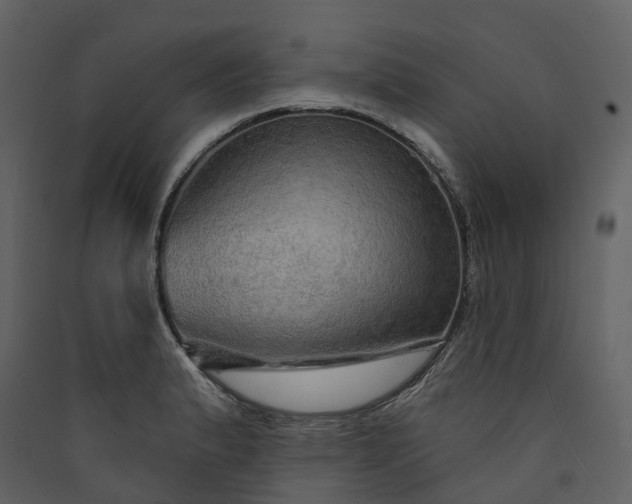 X0000089941183200707131447