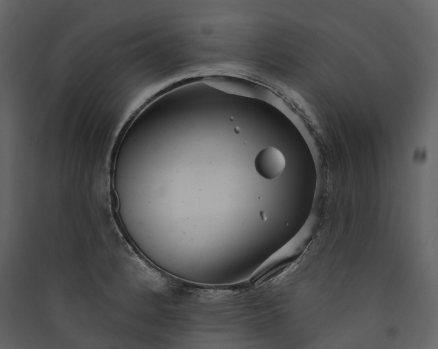 X0000089941184200707131447