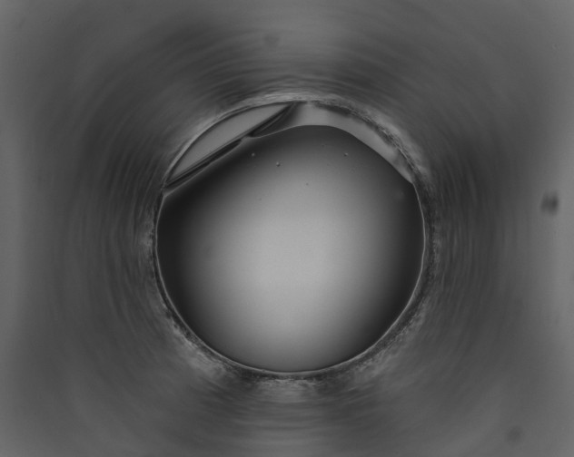 X0000089941185200707131447