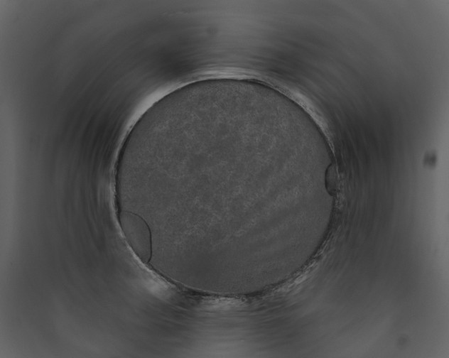 X0000089941187200707131447