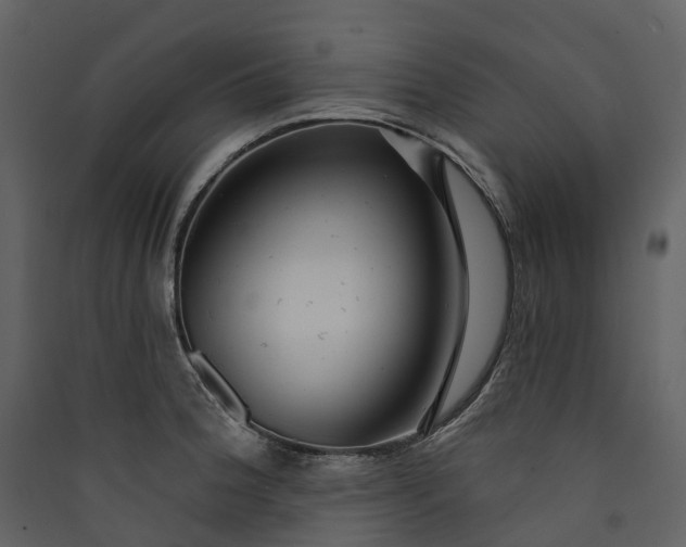 X0000089941188200707131447