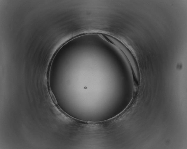 X0000089941189200707131447