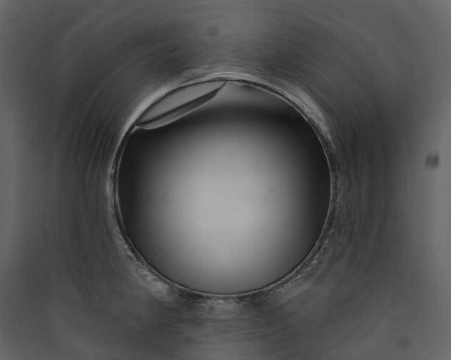 X0000089941190200707131447