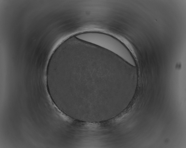 X0000089941191200707131447