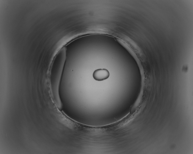 X0000089941192200707131447