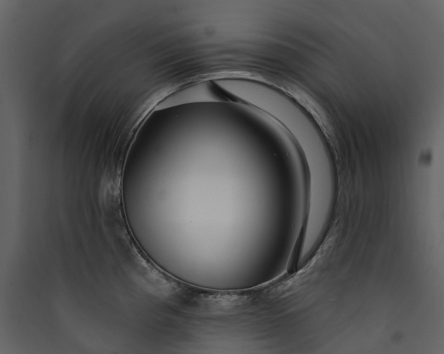 X0000089941193200707131447