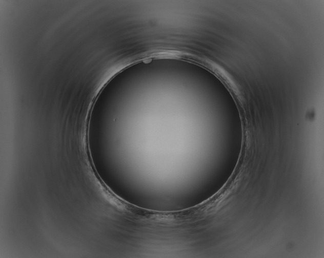 X0000089941194200707131447