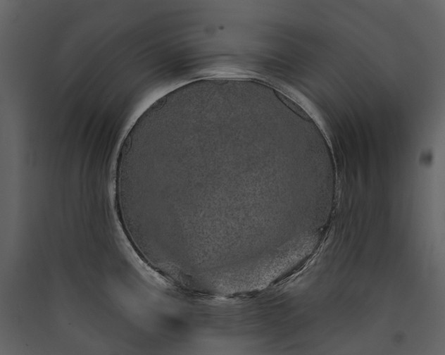 X0000089941195200707131447