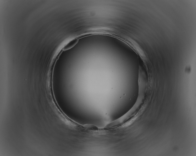 X0000089941196200707131447