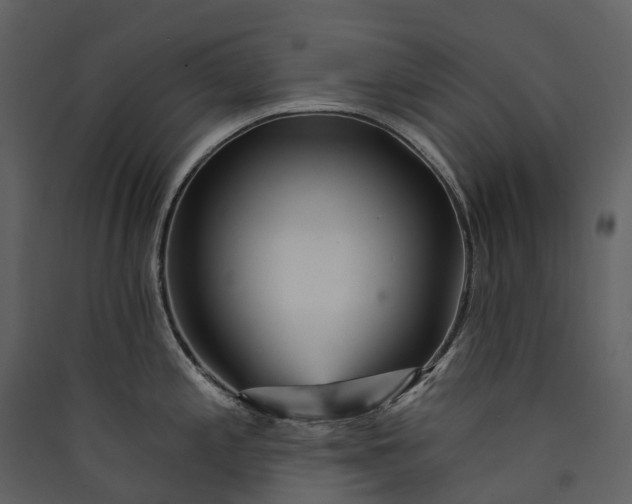 X0000089941197200707131447