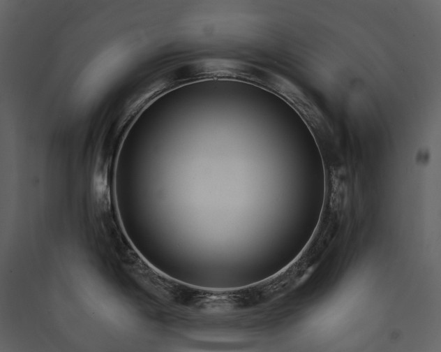 X0000089941198200707131447