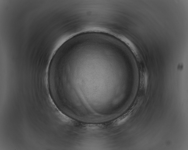 X0000089941199200707131447