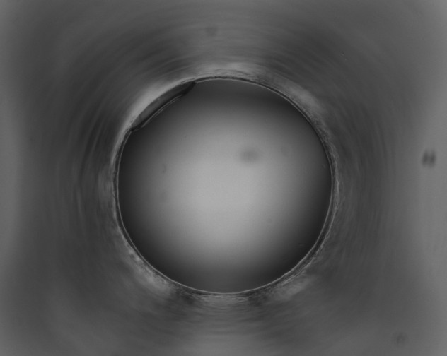 X0000089941200200707131447