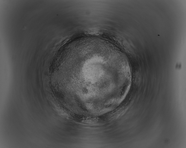 X0000089941201200707131446