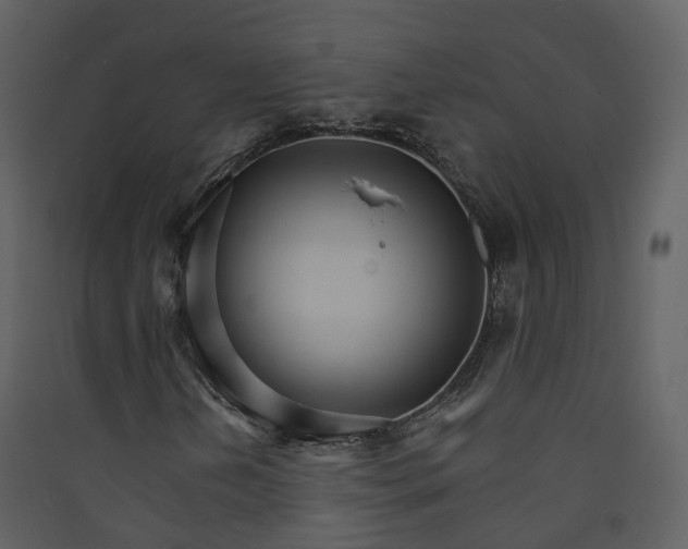 X0000089941202200707131446