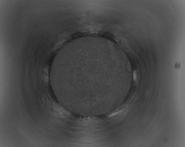 X0000089941203200707131446