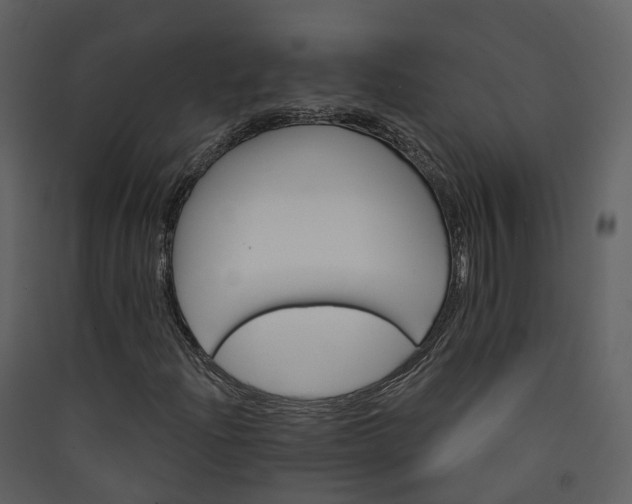 X0000089941204200707131446