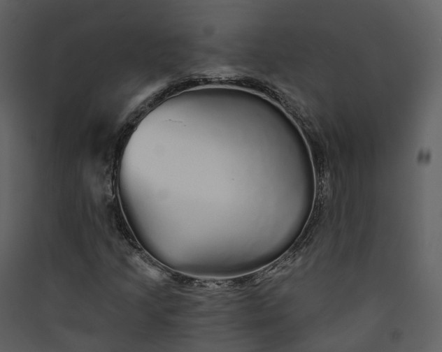 X0000089941205200707131446