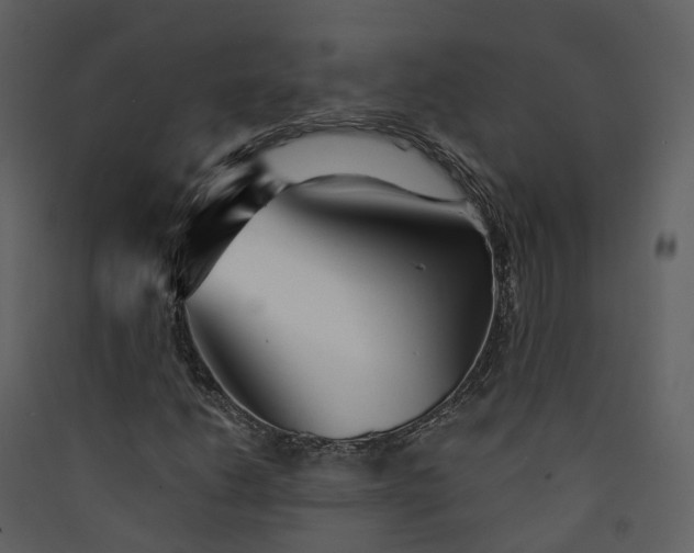 X0000089941206200707131446