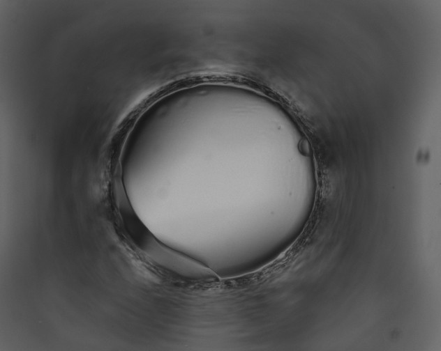 X0000089941208200707131446