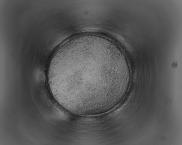 X0000089941209200707131446