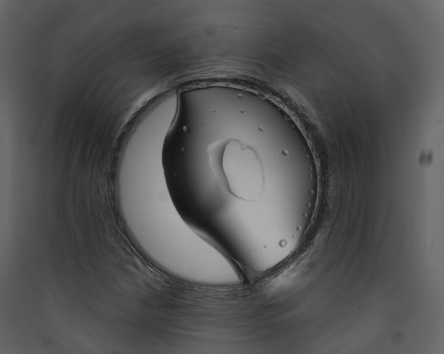 X0000089941210200707131446