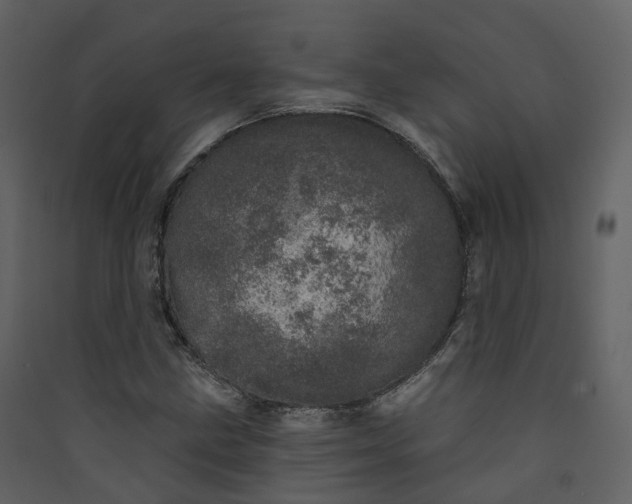 X0000089941211200707131446