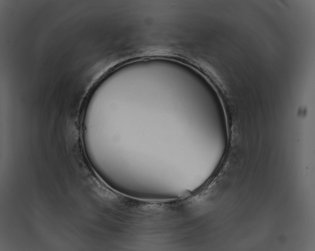 X0000089941212200707131446