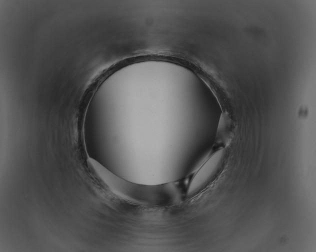 X0000089941214200707131446