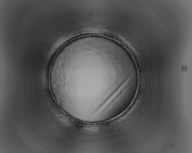 X0000089941215200707131446